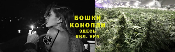 молекула духа Беломорск