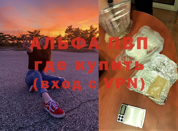 молекула духа Беломорск