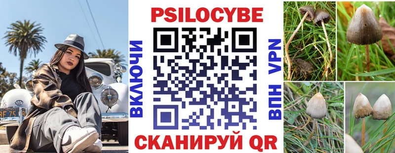 МЕГА зеркало  Мариинский Посад  Псилоцибиновые грибы мицелий 